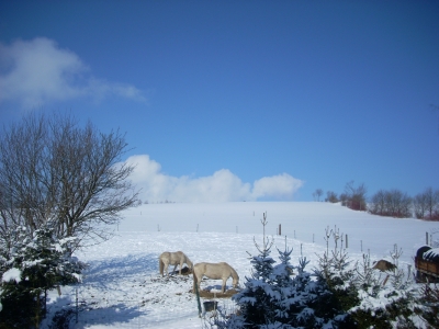 Sonnentag im Winter