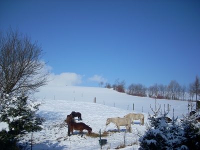 Sonnentag im Winter