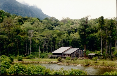 Borneo-4