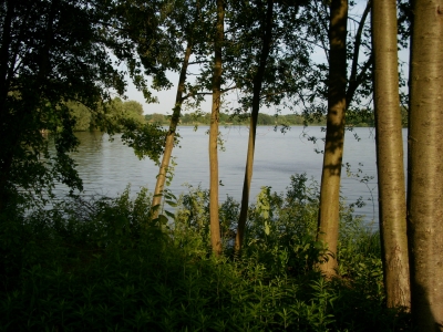 Bremervörder See 1