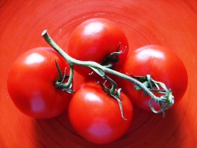 tomaten 3