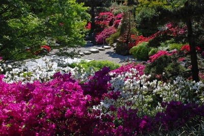 Japanischer Garten