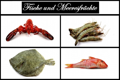 Fische und Meeresfrüchte