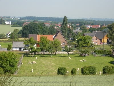 Ein Stück Natur Sauerland