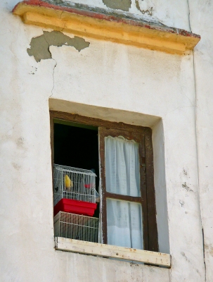 Vogelkäfig im Fenster