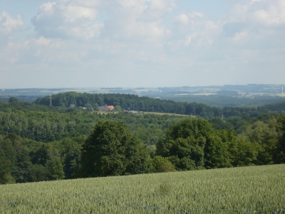 Ein Stück Natur Sauerland