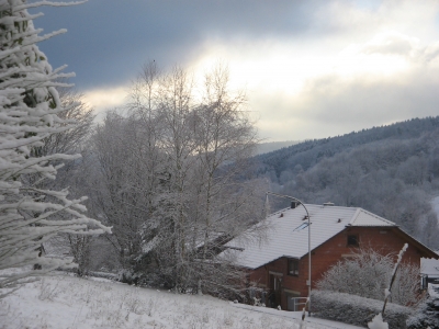 Winter im Floersbachtal