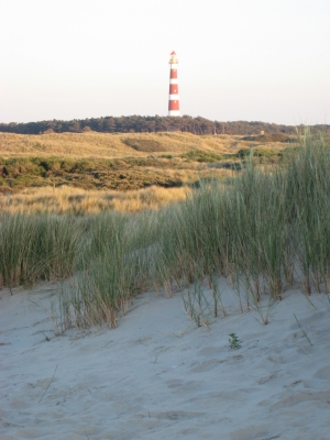 Amelander Dünenlandschaft mit Leuchtturm