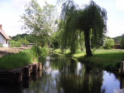 Spreewald mit kleiner Brücke