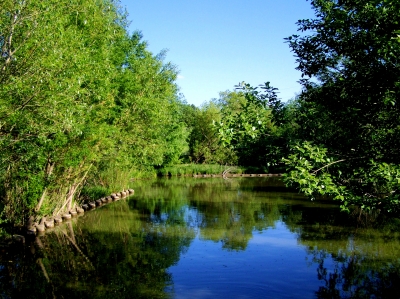 Am Teich