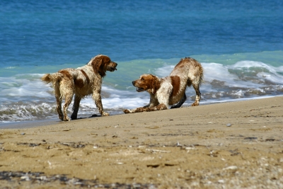 Corfu_Beach