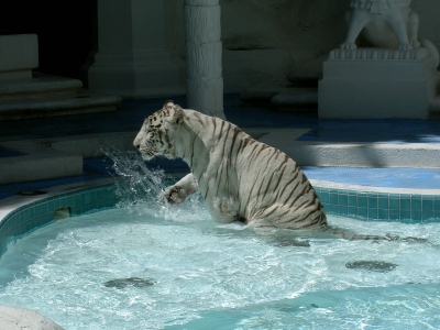 Wasserspiele