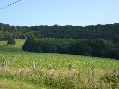 Ein Stück Sauerland