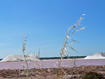 An der Saline