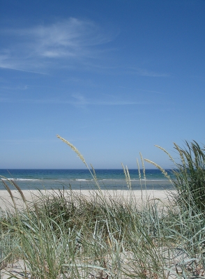 Ostsee 8