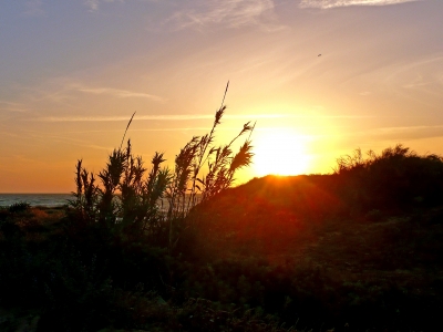 Sonne hinter den Dünen