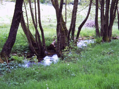 Bachverlauf