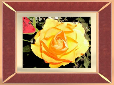 Gelbe Rose, gemalt