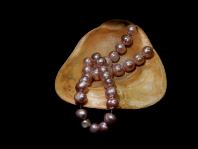 Perlen in Muschel