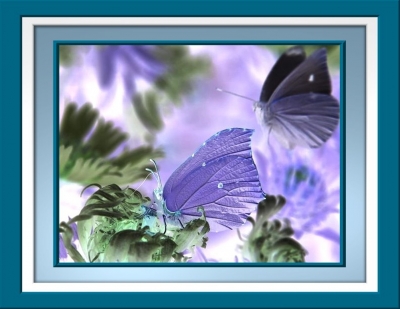 Schmetterling in blau