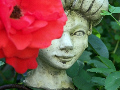 Glockenblumenkönigin mit Rose