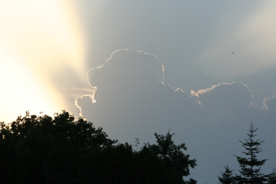 Wolkenhund...