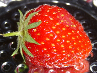 Erdbeere (die2.)