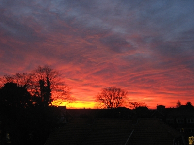 Blick aus dem Fenster