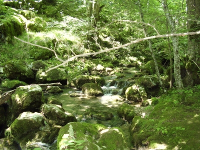 Naturpark in Bulgarien / 2