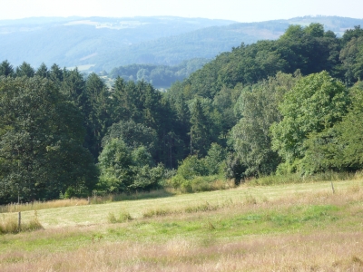 Ein Stück Sauerland