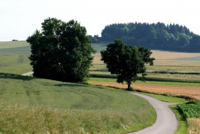 Landschaft 1