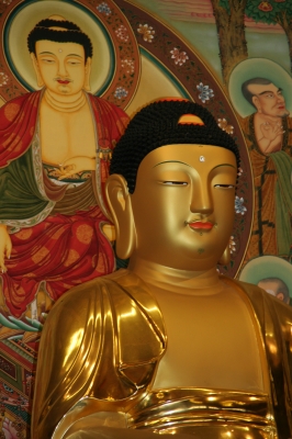 Buddha in Korea