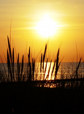 Sommerabend in Kühlungsborn 11