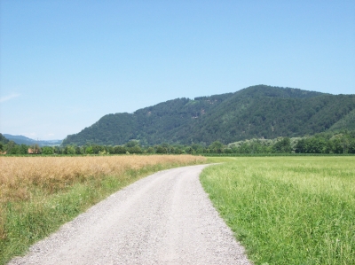 Strasse durch Wiesen und Felder