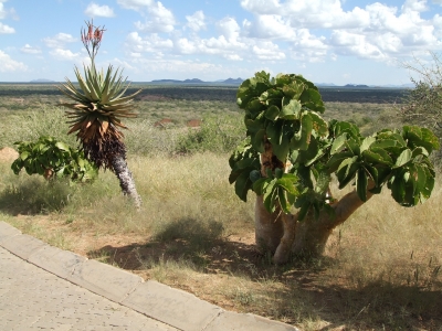 Namibia Okahandja