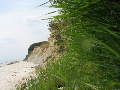 Steilküste bei Grömitz ( Ostsee)