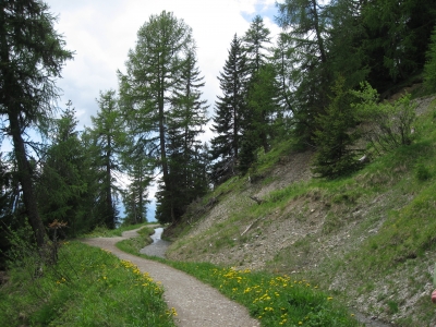 Wandern in den Alpen