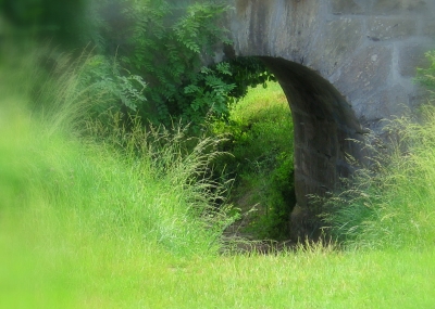 "Tunnel-Blick"