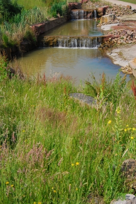 Wasserfall in ZOOM-GE