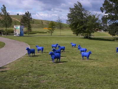 Blaue Schafe auf grünem Rasen