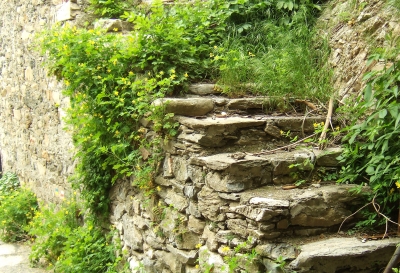 Steintreppe ins Grüne