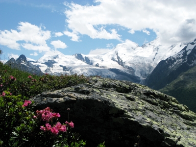 Alpenwelt Kreuzboden - Sicht auf Allalin und Alphubel