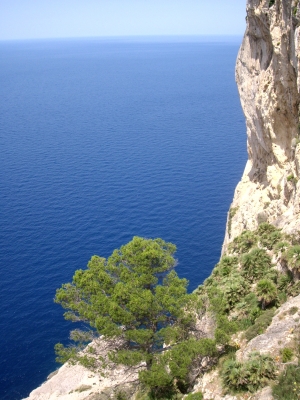 Küste von Mallorca / Nordosten 2
