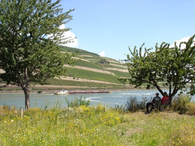 lauschiges Plätzchen am Rhein