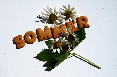 Kekschrift Sommer 1