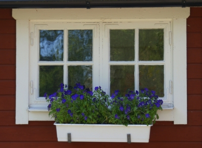 Blumenfenster - Sommer in Südschweden