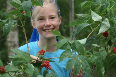 Schwedenmaid - Sommer in Südschweden