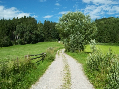 Feldweg