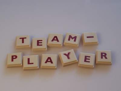 Wortbild Teamplayer