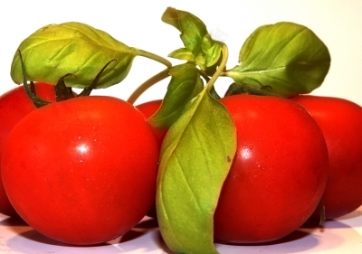Tomaten mit Basilikum_2